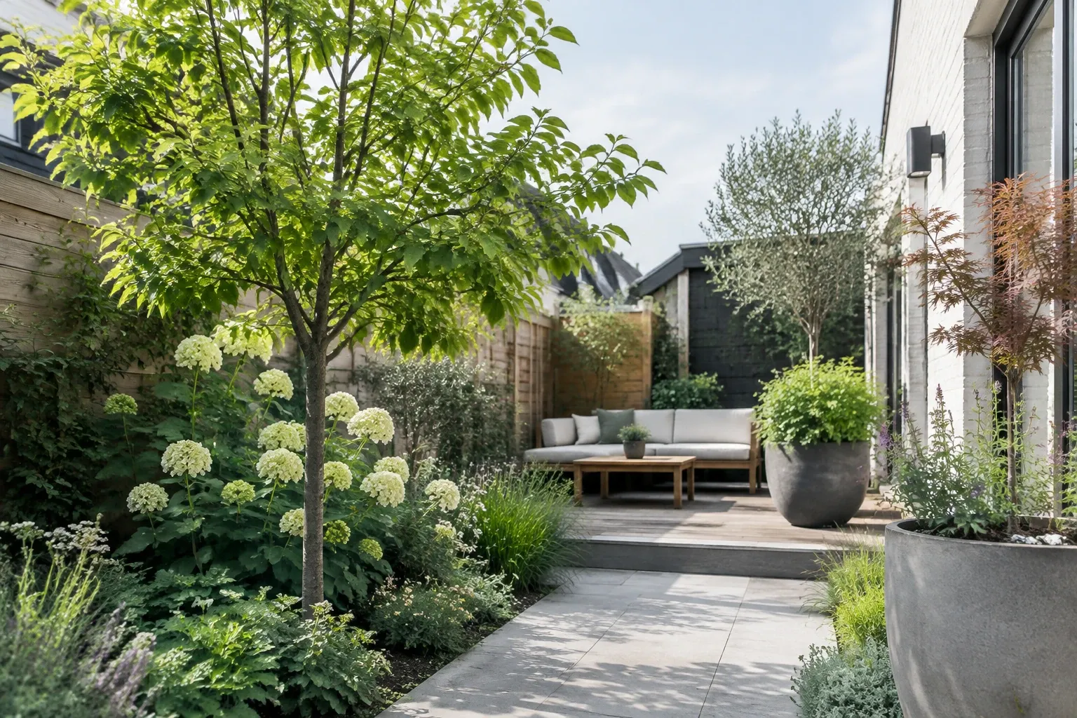 Kleine stadstuin met sierappelboom, hortensia’s, olijfboom en zithoek